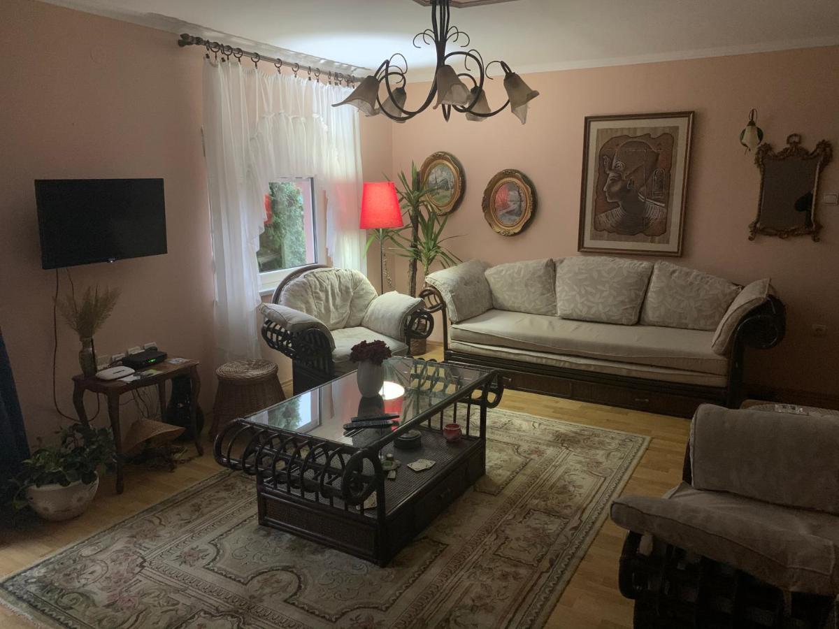 Apartmani Stojanovic Sremska Kamenica Zewnętrze zdjęcie