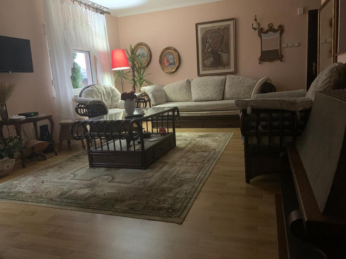 Apartmani Stojanovic Sremska Kamenica Zewnętrze zdjęcie