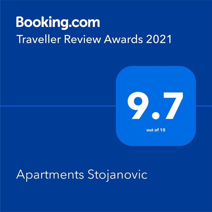 Apartmani Stojanovic Sremska Kamenica Zewnętrze zdjęcie