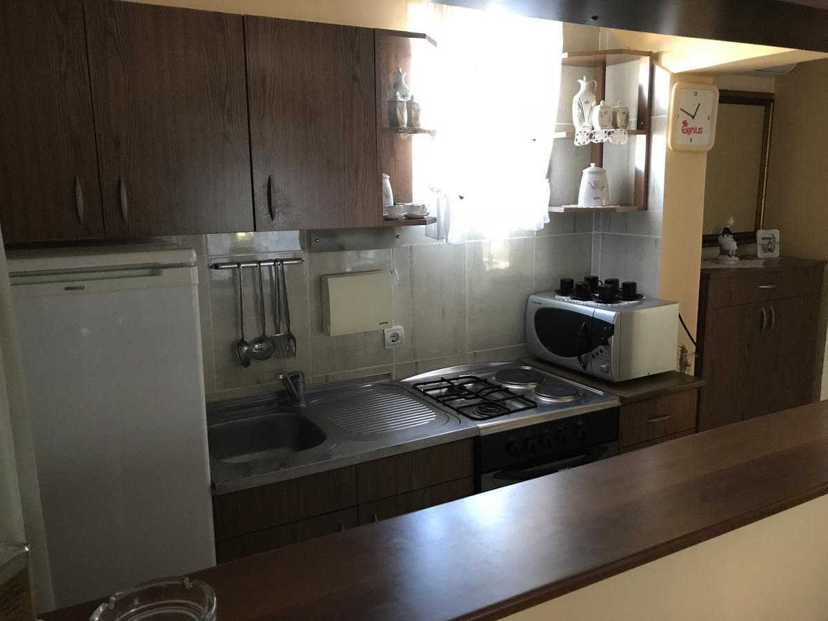 Apartmani Stojanovic Sremska Kamenica Zewnętrze zdjęcie