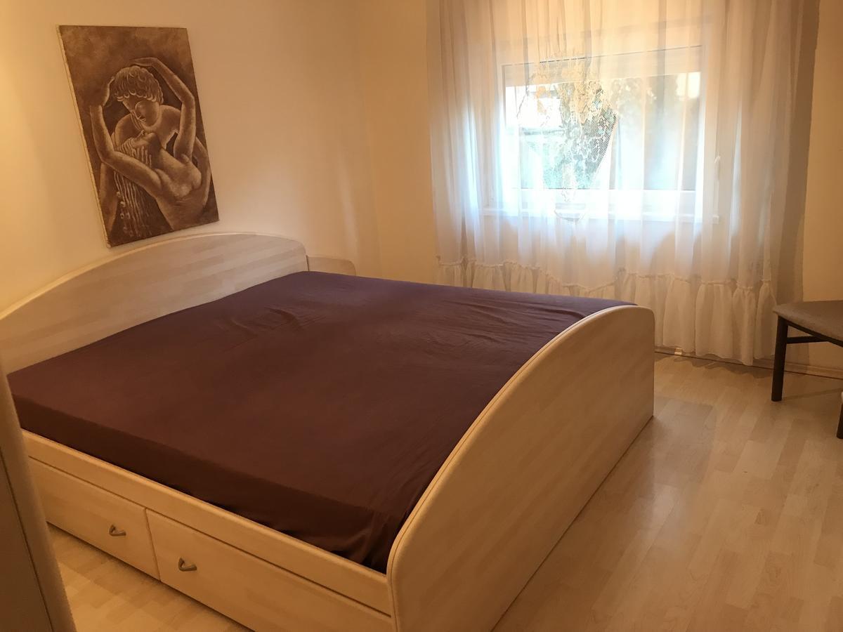 Apartmani Stojanovic Sremska Kamenica Pokój zdjęcie