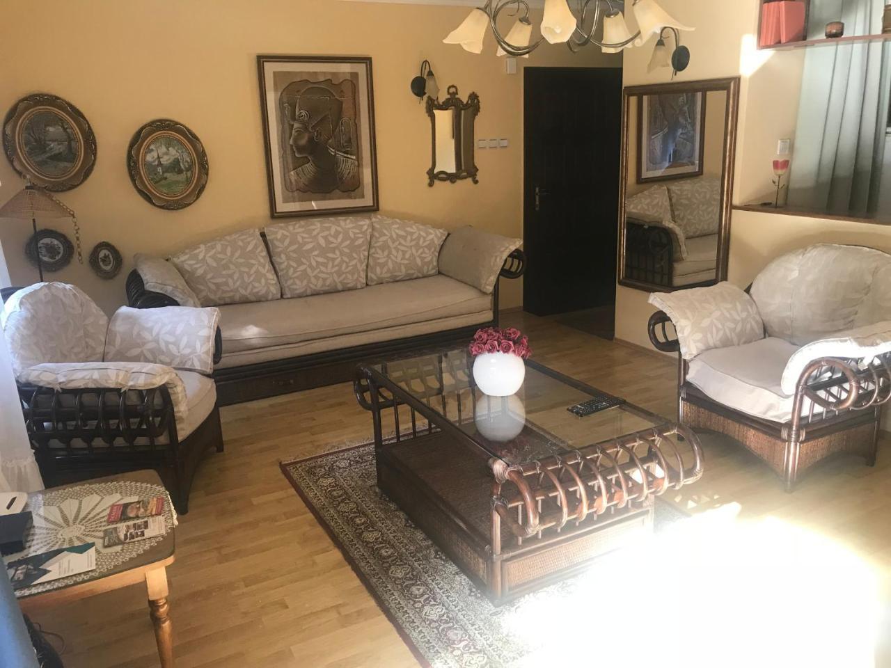 Apartmani Stojanovic Sremska Kamenica Zewnętrze zdjęcie