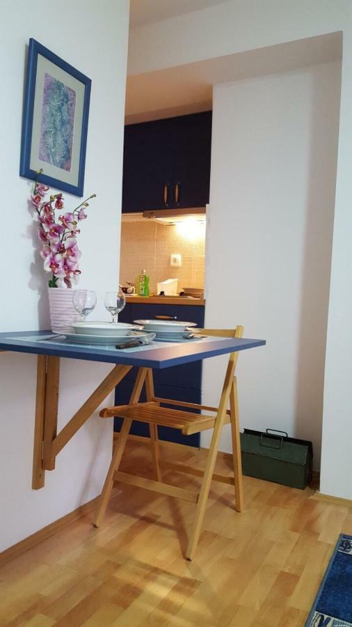 Apartmani Stojanovic Sremska Kamenica Zewnętrze zdjęcie