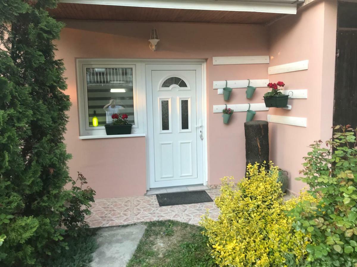 Apartmani Stojanovic Sremska Kamenica Zewnętrze zdjęcie