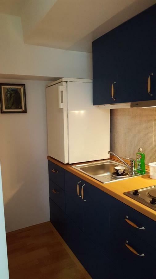 Apartmani Stojanovic Sremska Kamenica Zewnętrze zdjęcie