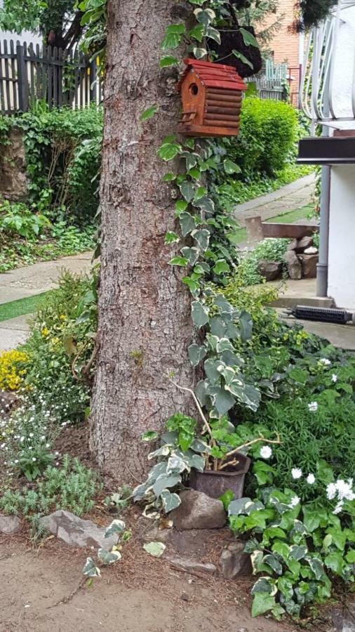 Apartmani Stojanovic Sremska Kamenica Zewnętrze zdjęcie