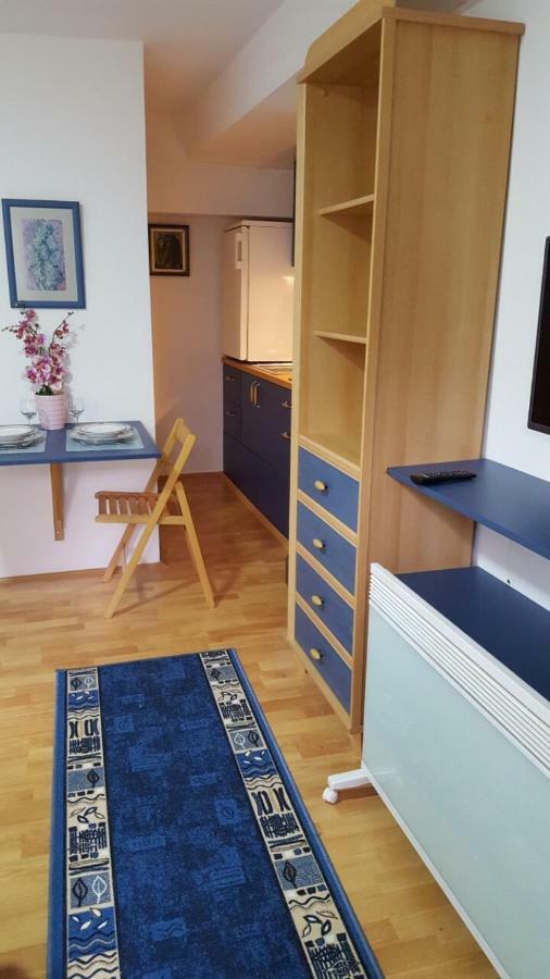 Apartmani Stojanovic Sremska Kamenica Zewnętrze zdjęcie