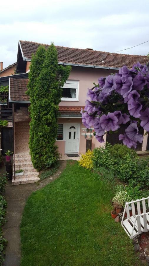 Apartmani Stojanovic Sremska Kamenica Zewnętrze zdjęcie